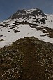 09 03806 Verso le Casere de Eder (Casere di Val Vedra)